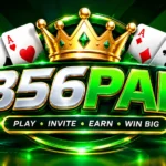 356PakGame